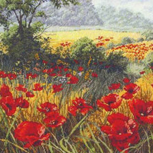 Схема вышивки «Маки в поле»