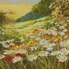 Схема вышивки «Ромашковое поле на закате.»