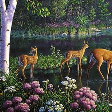 березовый край