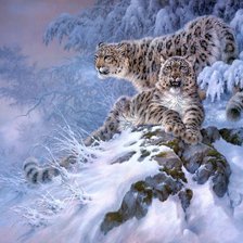 Схема вышивки «№329774»