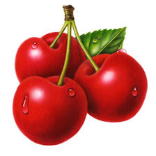 Схема вышивки «Вишенки»