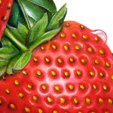 Схема вышивки «Клубничная подушка»