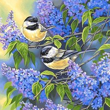 Схема вышивки «Птички»