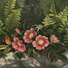 Схема вышивки «№330098»