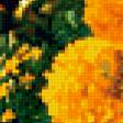 Предпросмотр схемы вышивки «цветы» (№330113)