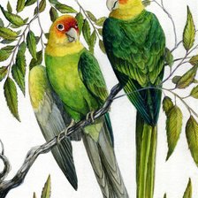 Схема вышивки «№330130»