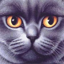 Схема вышивки «кот»