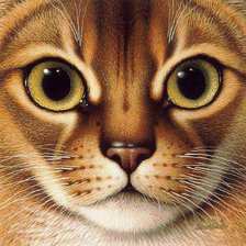 Схема вышивки «кот»