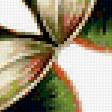 Предпросмотр схемы вышивки «№330169»