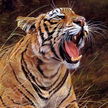 Схема вышивки «№330257»