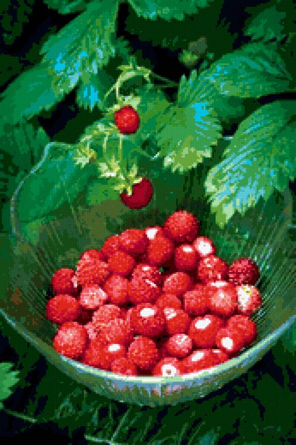 Земляничка - лес, земляника, природа, ягоды, лето - предпросмотр