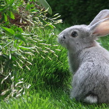 Схема вышивки «№330264»