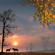 Схема вышивки «На закате»