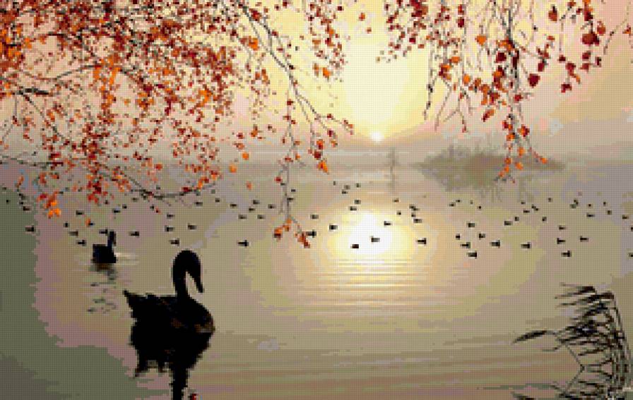 На закате - утки, закат, пруд - предпросмотр