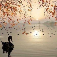 Схема вышивки «На закате»