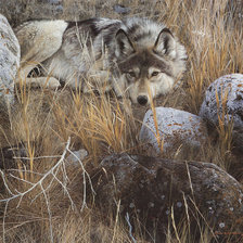 Схема вышивки «№330283»