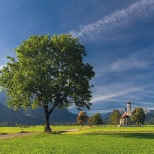 Схема вышивки «поле»