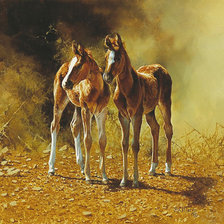 Схема вышивки «0087»