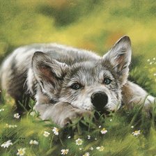 Схема вышивки «0089»