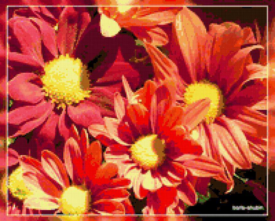 №330463 - цветы - предпросмотр