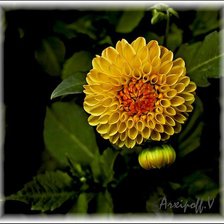 Схема вышивки «№330466»