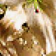 Предпросмотр схемы вышивки «№330474»