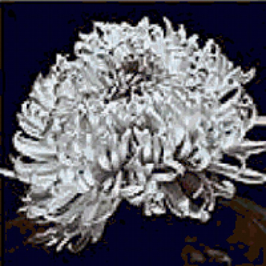 триптих цветы 4 - триптих - предпросмотр