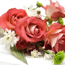 Схема вышивки «Розы»