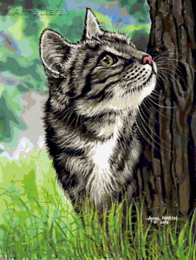 Котик - кошки, природа, котик, лето, коты, животные, кот - предпросмотр