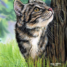 Схема вышивки «Котик»