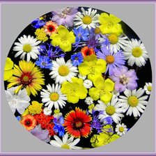 Схема вышивки «№330997»