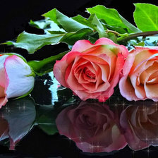 Схема вышивки «№331028»