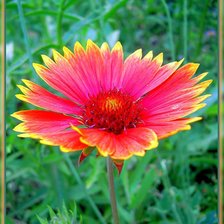 Схема вышивки «№331042»