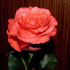 Схема вышивки «роза»