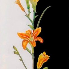 Схема вышивки «№331084»