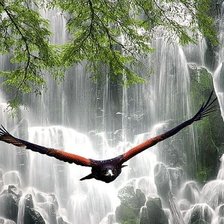 Схема вышивки «№331092»