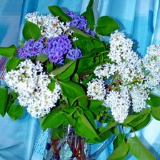 Схема вышивки «сирень»