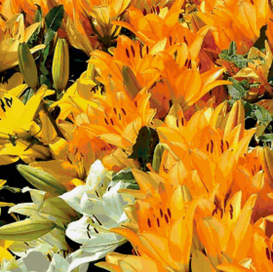 лилии - лето, цветы, лилии - предпросмотр