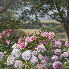 пейзаж с пионами