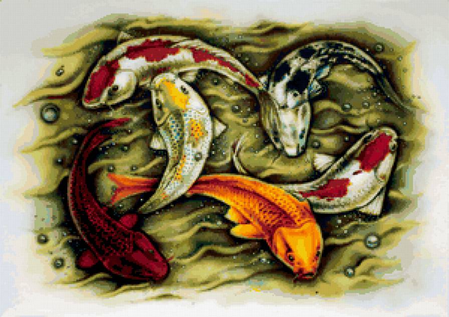 шесть кои - восток, рыба, карп, кои - предпросмотр