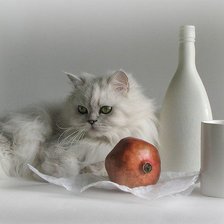 Схема вышивки «Murrr»