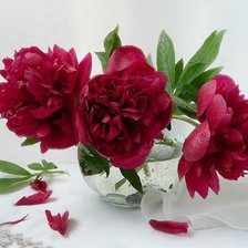 Схема вышивки «Самые-самые»