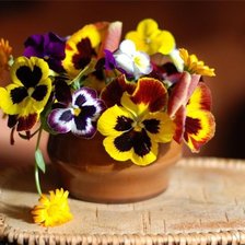 Схема вышивки «Анютины глазки»