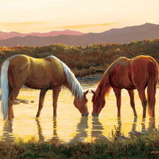 Схема вышивки «лошади»