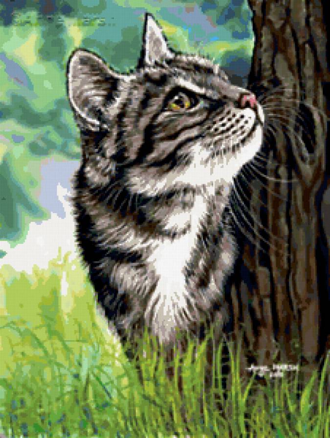 Для Anya_80 в гамме - лето, котик, коты, природа, животные, кошки, кот - предпросмотр