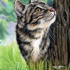 Схема вышивки «Для Anya_80 в гамме»