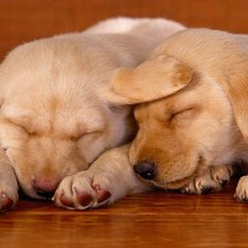 Схема вышивки «№331540»