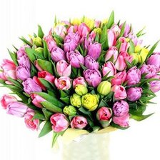 Схема вышивки «Тюльпаны»