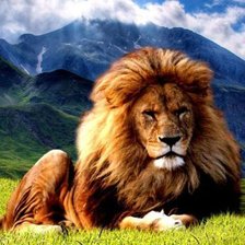 Схема вышивки «лев»