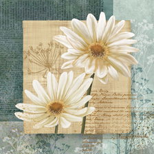 Схема вышивки «Ромашки»